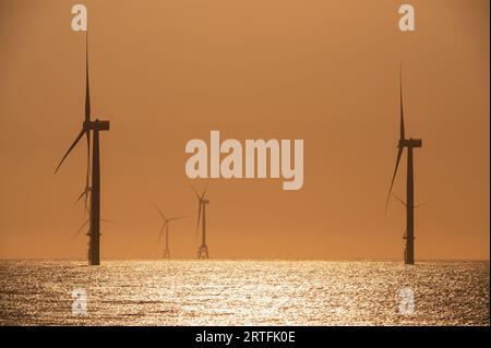 Les ventilateurs des éoliennes tournent au-dessus de la mer étincelante. Nuages dynamiques au coucher du soleil. Un parc éolien offshore au large de la côte nord-ouest de Taïwan. Un de pow vert Banque D'Images