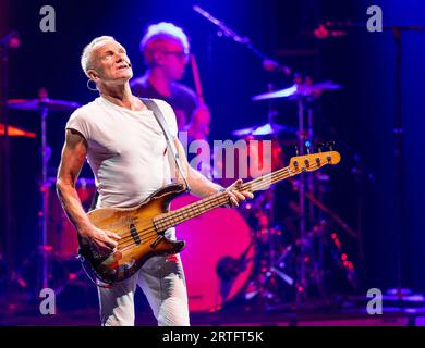 Miami (États-Unis d ' Amérique). 12 septembre 2023. HOLLYWOOD, FL- SEP 12 : Sting se produit au Hard Rock Live at Seminole Hard Rock Hotel & Casino Hollywood le 12 septembre 2023 à Hollywood, en Floride. (Photo Alberto E. Tamargo/Sipa USA) crédit : SIPA USA/Alamy Live News Banque D'Images