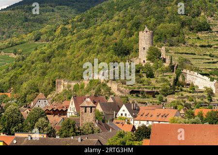 Die Burg Kaysersberg, Elsass, Frankreich | Château de Kaysersberg, Alsace, France Banque D'Images