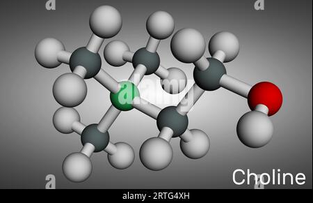 Molécule de nutrien essentielle de type vitamine choline. C'est la vitamine B4. Modèle moléculaire. Rendu 3D. Illustration Banque D'Images