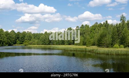 Réservoir à la lande rouge dans la haute Rhoen, Hesse, Allemagne. Avec ciel bleu et nuages blancs et réflexion dans l'eau Banque D'Images