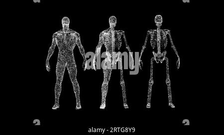 Anatomie 3D MAN sur fond noir. Concept médical et scientifique. Anatomie du corps masculin. Toile de fond publicitaire d'entreprise. Pour titre, texte Banque D'Images