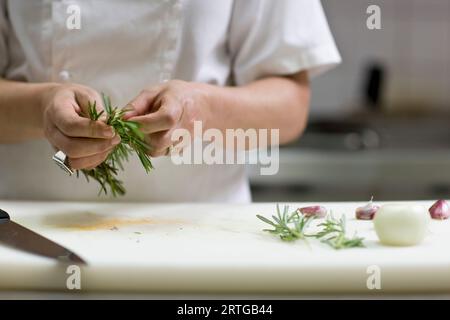 Close up of a chef mains plumer une brindille de romarin Banque D'Images