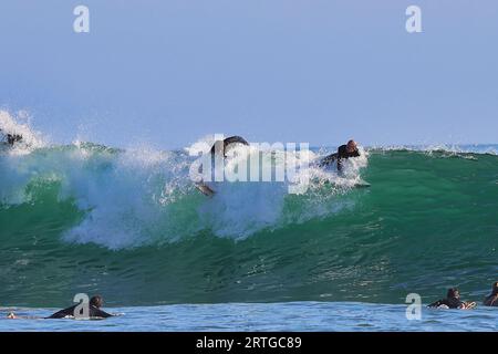 Surf Rincon point en Californie pendant une houle estivale Banque D'Images