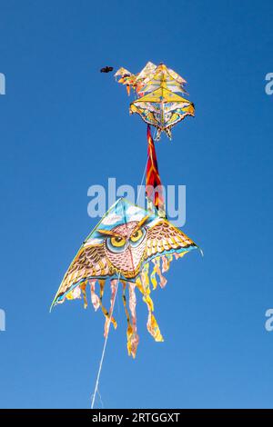 Cerfs-volants colorés volant dans un ciel bleu Banque D'Images