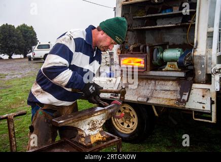 Porteur de chevaux, Craig Robotown utilisant une enclume portable et un four à gaz monté sur camion mobile pour secouer les fers à cheval tout en travaillant dans une école d'équitation près de Sorell, Tasmanie Banque D'Images