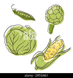 Ensemble de légumes dans le style d'art de ligne. Collecte de nourriture pour les restaurants, menu, affiches et sacs d'épicerie. Maïs, chou, pois, artichaut. Illustration vectorielle Illustration de Vecteur