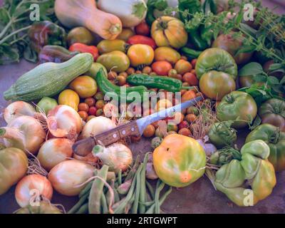 D'en haut des tomates vertes fraîches et des poivrons placés près des oignons mûrs et des citrouilles et couteau sur la table de cuisine Banque D'Images