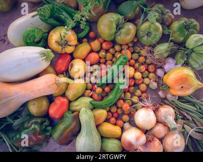 Vue de dessus composition de citrouilles mûres et de tomates placées près des poivrons frais verts et des oignons avec de l'ail et des pois sur la table Banque D'Images