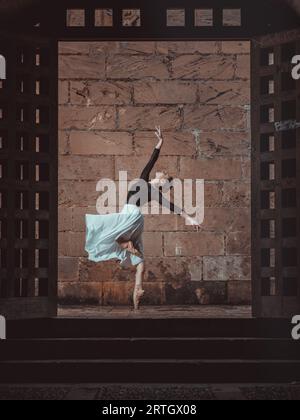 Vue latérale du corps entier flexible gracieuse danseuse de ballet dansant dans des chaussures de pointe dans l'embrasure de porte près du mur de briques Banque D'Images