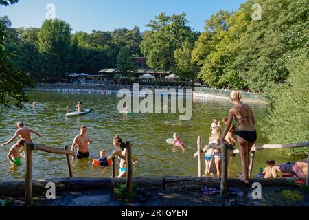 Schlachtensee, Badesee, Sommer à Berlin, See, Bezirk Steglitz-Zehlendorf, Grunewald, Berlin, Allemagne, Europa Banque D'Images