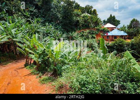 Paysages africains avec des maisons et des fermes agricoles dans les montagnes Uluguru, Tanzanie Banque D'Images