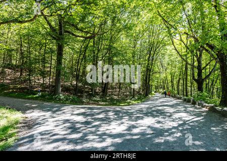 Le Rockefeller State Park Pocantico Hills New York USA Banque D'Images