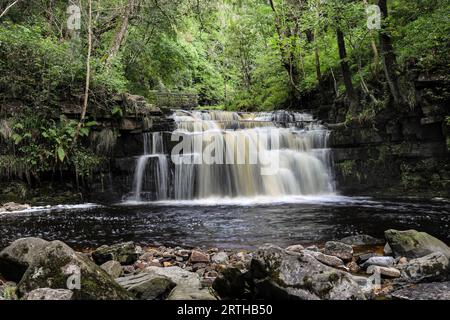 Cascade à Ashgill, North Pennines, Garrigill, Cumbria, Royaume-Uni Banque D'Images