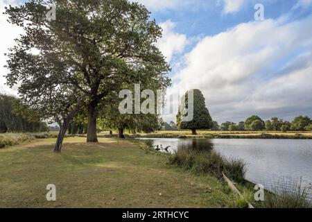 Jardins du Surrey à la fin septembre avec le soleil tôt le matin Banque D'Images