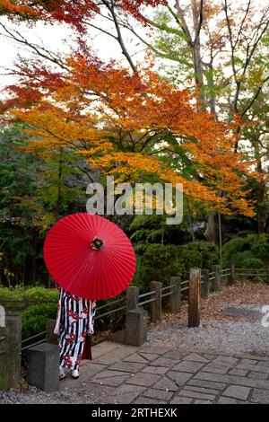 Femme portant kimono tenant un porte-parapluie rouge sous l'érable Banque D'Images