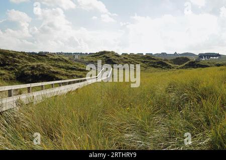 Accès à la plage au-dessus des dunes Banque D'Images