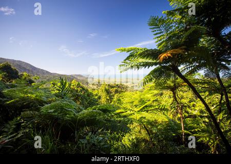 La vue depuis le belvédère du mont Alexandra dans la région de Daintree vers la Grande barrière de corail et la mer de Corail par une journée ensoleillée d'hiver dans le Queensland Banque D'Images