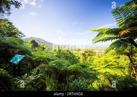 La vue depuis le belvédère du mont Alexandra dans la région de Daintree vers la Grande barrière de corail et la mer de Corail par une journée ensoleillée d'hiver dans le Queensland Banque D'Images