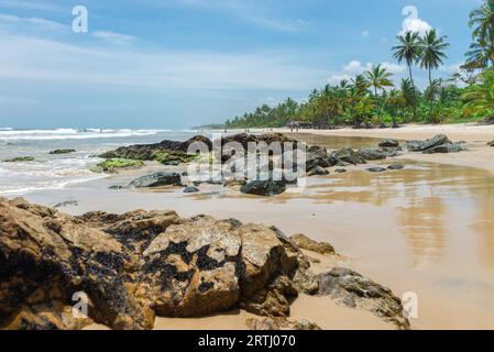 Belle plage et nature près de Peniche à Bahia Brésil Banque D'Images