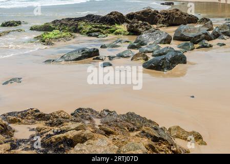 Belle plage et nature près de Peniche à Bahia Brésil Banque D'Images