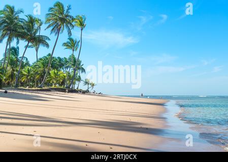 Taipu de Fora, Brésil, 8 décembre 2016 : vue imprenable sur les plages près d'Itacare dans l'état de Bahia au Brésil Banque D'Images