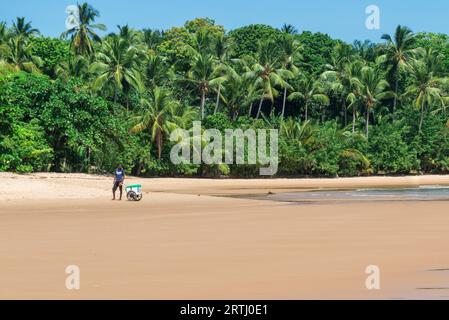 Itacare, Brésil, 8 décembre 2016 : Iceman sur la plage de barra grande à Ponta do Muta Brésil Banque D'Images