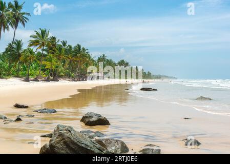 Belle plage et nature près de Peniche à Bahia Brésil Banque D'Images