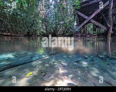 BOM Jardim, Mato Grosso, Brésil Banque D'Images