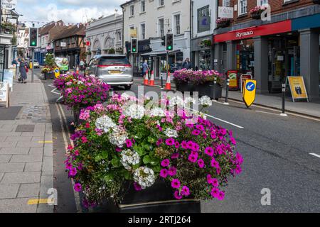 Schéma d'apaisement de la circulation, planteurs remplis de fleurs placés dans la route pour la rétrécir et ralentir la circulation, centre-ville de Farnham, Surrey, Angleterre, Royaume-Uni Banque D'Images