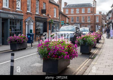 Schéma d'apaisement de la circulation, planteurs remplis de fleurs placés dans la route pour la rétrécir et ralentir la circulation, centre-ville de Farnham, Surrey, Angleterre, Royaume-Uni Banque D'Images