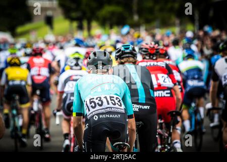 GEELONG, AUSTRALIE, JANVIER 31 : coureurs participant à la course élite masculine Banque D'Images