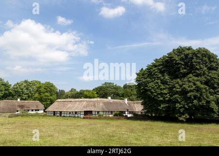 Lyngby, Danemark, 23 juin 2016 : anciennes fermes danoises à colombages avec toit en paille Banque D'Images