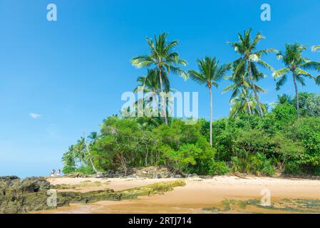 Barra Grande, Brésil, 8 décembre 2016 : vue imprenable sur les plages près d'Itacare dans l'état de Bahia au Brésil Banque D'Images