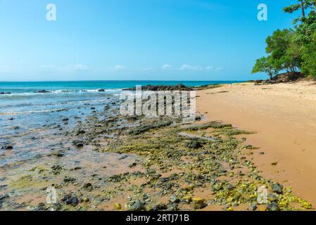 Plage de barra grande étonnant situé à l'Ponta do Muta Brésil Banque D'Images