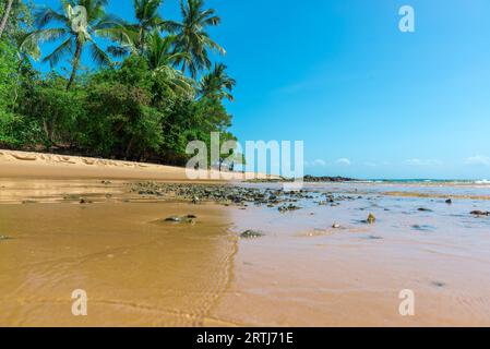 Plage de barra grande étonnant situé à l'Ponta do Muta Brésil Banque D'Images