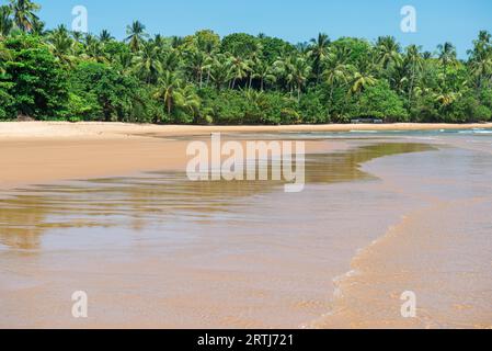 Plage de barra grande étonnant situé à l'Ponta do Muta Brésil Banque D'Images