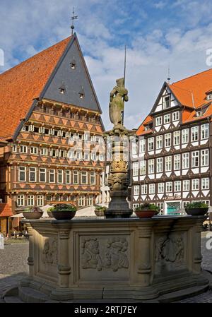 Place du marché historique avec fontaine Roland et Knochenhaueramtshaus, Hildesheim, Basse-Saxe, Allemagne Banque D'Images