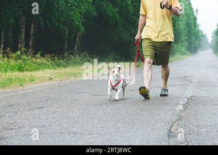 Homme marchant avec le chien dans la pluie et le brouillard sous parapluie le long de la route de campagne Banque D'Images