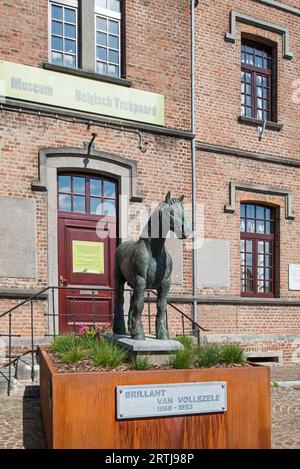Cheval de trait belge / Belgisch Trekpaard Musée et statue de l'étalon brillant à Vollezele, Galmaarden, Brabant flamand, Flandre, Belgique Banque D'Images