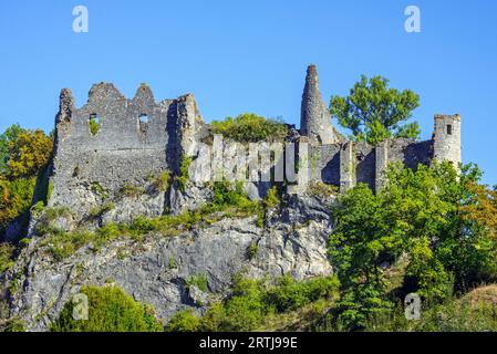 Château de Montaigle en été, château médiéval en ruine du 14e siècle à Falaën, Onhaye, province de Namur, Wallonie, Ardennes belges, Belgique Banque D'Images