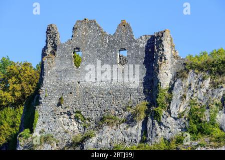 Château de Montaigle en été, château médiéval en ruine du 14e siècle à Falaën, Onhaye, province de Namur, Wallonie, Ardennes belges, Belgique Banque D'Images