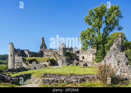 Château de Montaigle en été, château médiéval en ruine du 14e siècle à Falaën, Onhaye, province de Namur, Wallonie, Ardennes belges, Belgique Banque D'Images