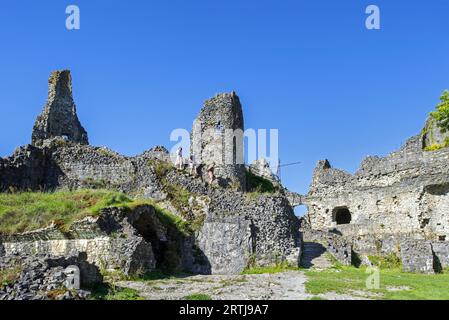 Château de Montaigle en été, château médiéval en ruine du 14e siècle à Falaën, Onhaye, province de Namur, Wallonie, Ardennes belges, Belgique Banque D'Images