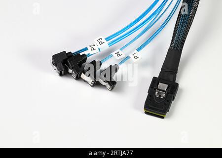 Câble de conversion Mini SAS vers SATA Serial ATA, bleu avec isolation de cible à 90 degrés sur fond blanc Banque D'Images