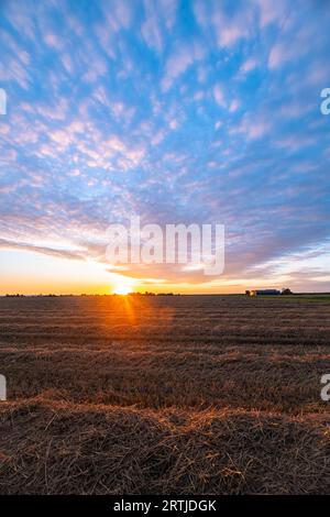 Les nuages de moutons Altocumulus sont magnifiquement colorés lorsque le soleil se couche sur la campagne. Banque D'Images