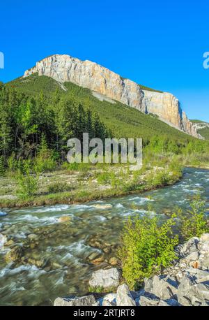 South Fork River teton ci-dessous un récif le long de l'avant près de Rocky Mountain, montana choteau Banque D'Images