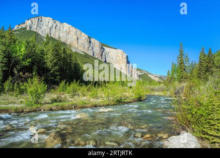 South Fork River teton ci-dessous un récif le long de l'avant près de Rocky Mountain, montana choteau Banque D'Images