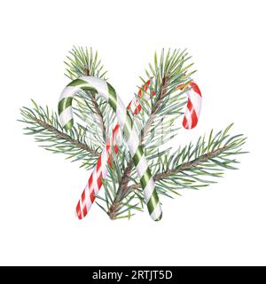 Cannes à sucre rouges et vertes et branche d'épinette. Bâton de Noël, canne caramel ornée de rayures, sucette de Noël. Plante Evergreen, brin vert luxuriant. Banque D'Images