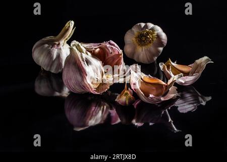 Goiania, Goias, Brésil – 24 mai 2023 : quelques têtes d’ail sur une surface noire brillante. Banque D'Images